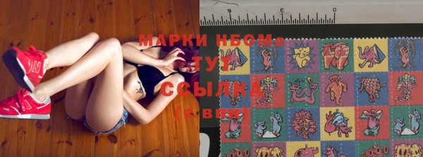 индика Алексеевка