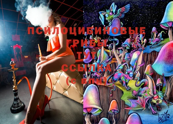 индика Алексеевка