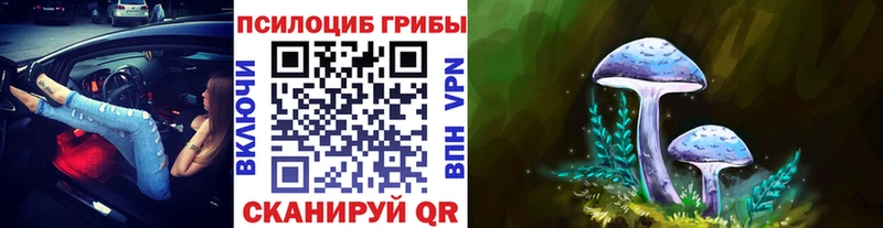Псилоцибиновые грибы мицелий  hydra сайт  Неман  купить наркотики цена 