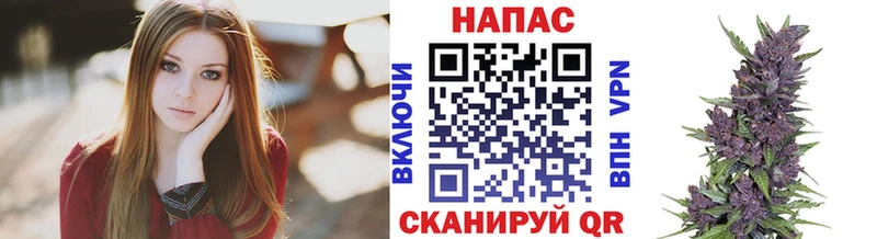 Бошки марихуана сатива  KRAKEN зеркало  Неман 